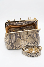 Colette Bag